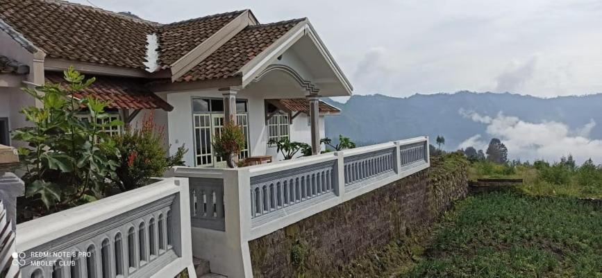 Good Karma Bromo Guesthouse 외부 사진