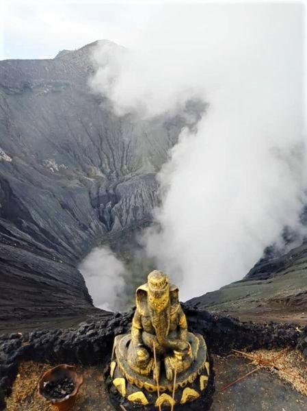 Good Karma Bromo Guesthouse 외부 사진