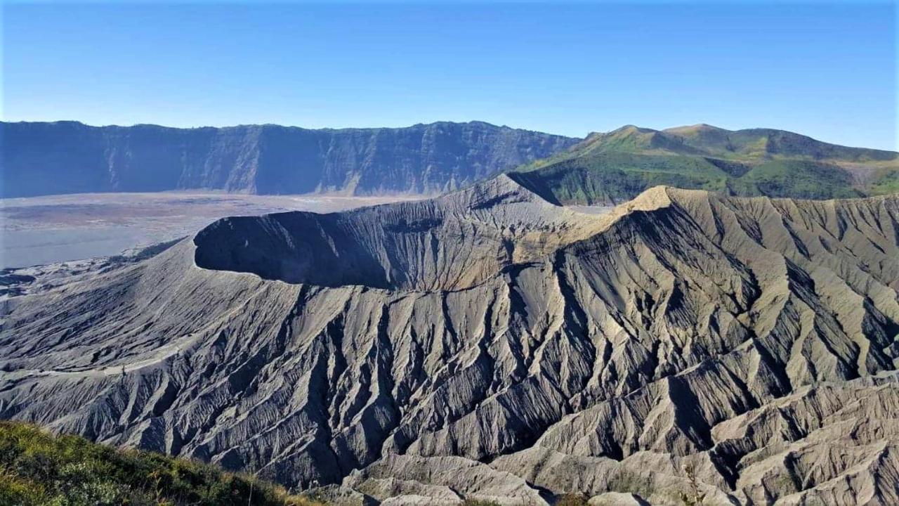 Good Karma Bromo Guesthouse 외부 사진