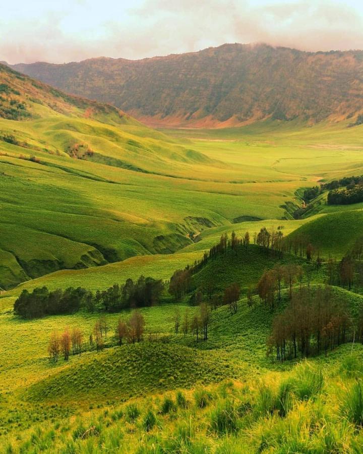 Good Karma Bromo Guesthouse 외부 사진