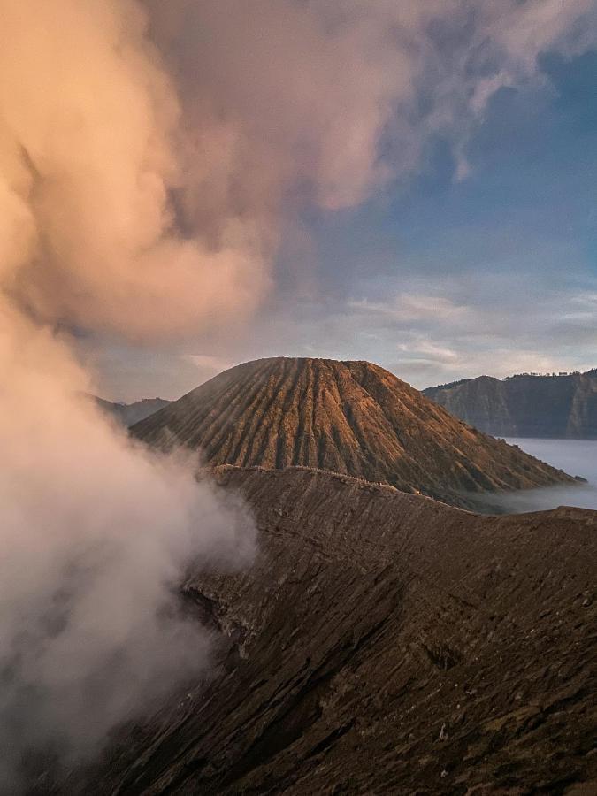 Good Karma Bromo Guesthouse 외부 사진