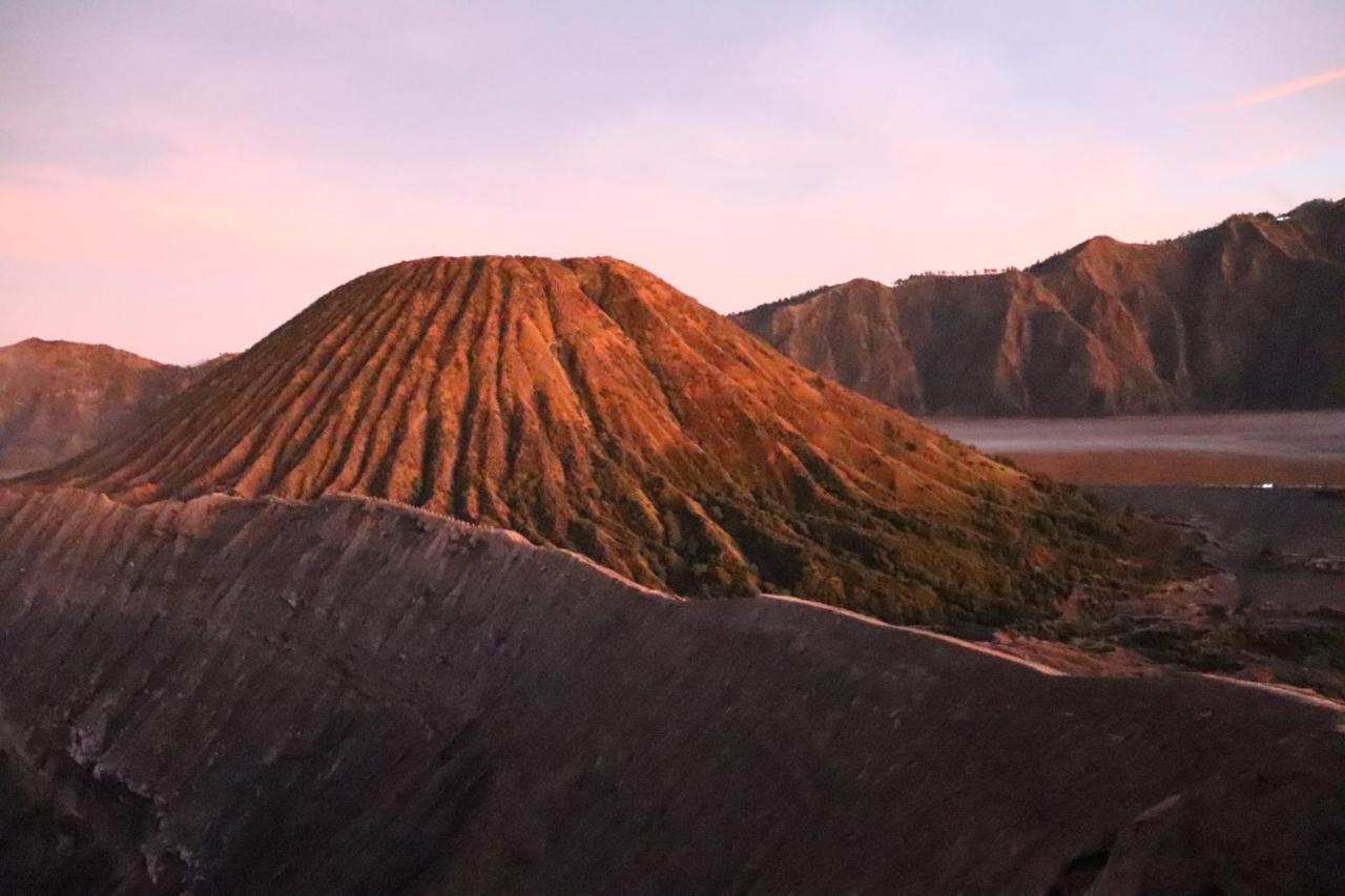 Good Karma Bromo Guesthouse 외부 사진